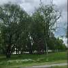 Great Lakes Forest Research Centre Arboretum