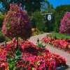 Kingsbrae Horticultural Garden