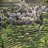 Land of Olives and Vines Cultural Landscape of Southern Jerusalem