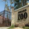 Malsi Deer Park