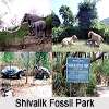 Shivalik Fossil Park