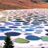 Spotted Lake