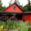 Tofino Botanical Gardens