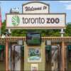 Toronto Zoo