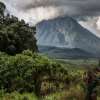 Virunga National Park