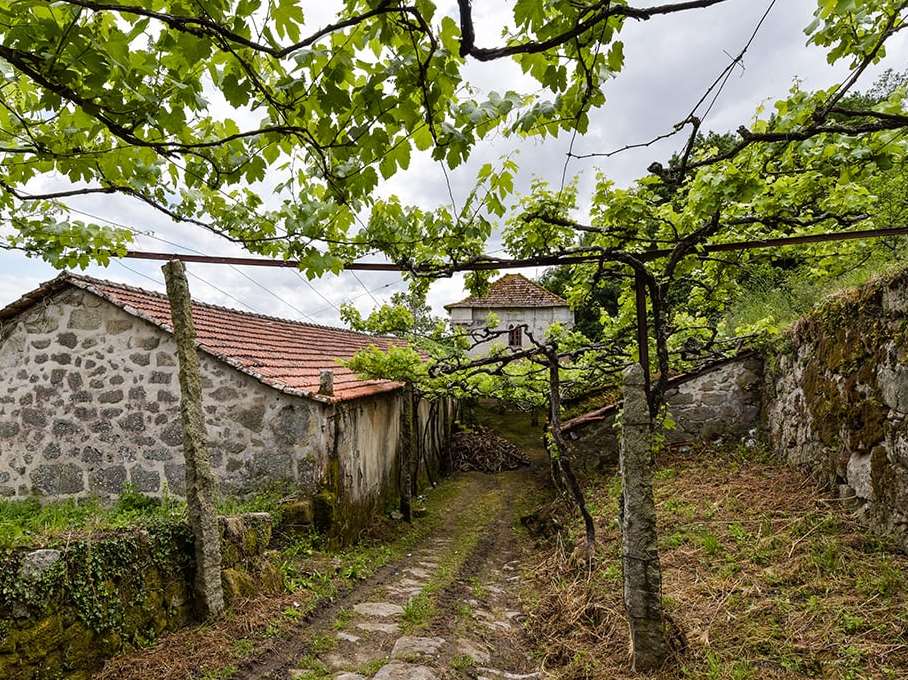 Quinta da Juncosa