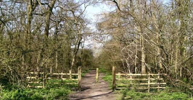 Bradley Woods
