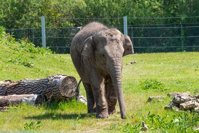 Blackpool Zoo