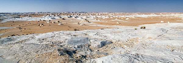 Farafra Desert