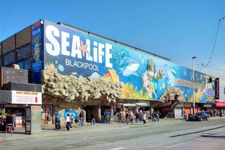 Sea Life Center, Blackpool
