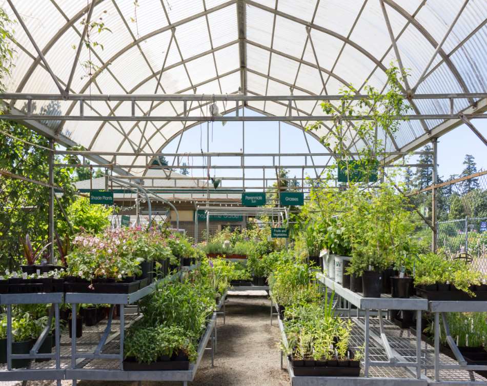 UBC Botanical Garden and Centre for Plant Research