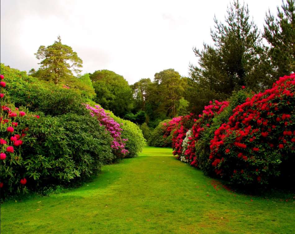 Fredericton Botanic Garden