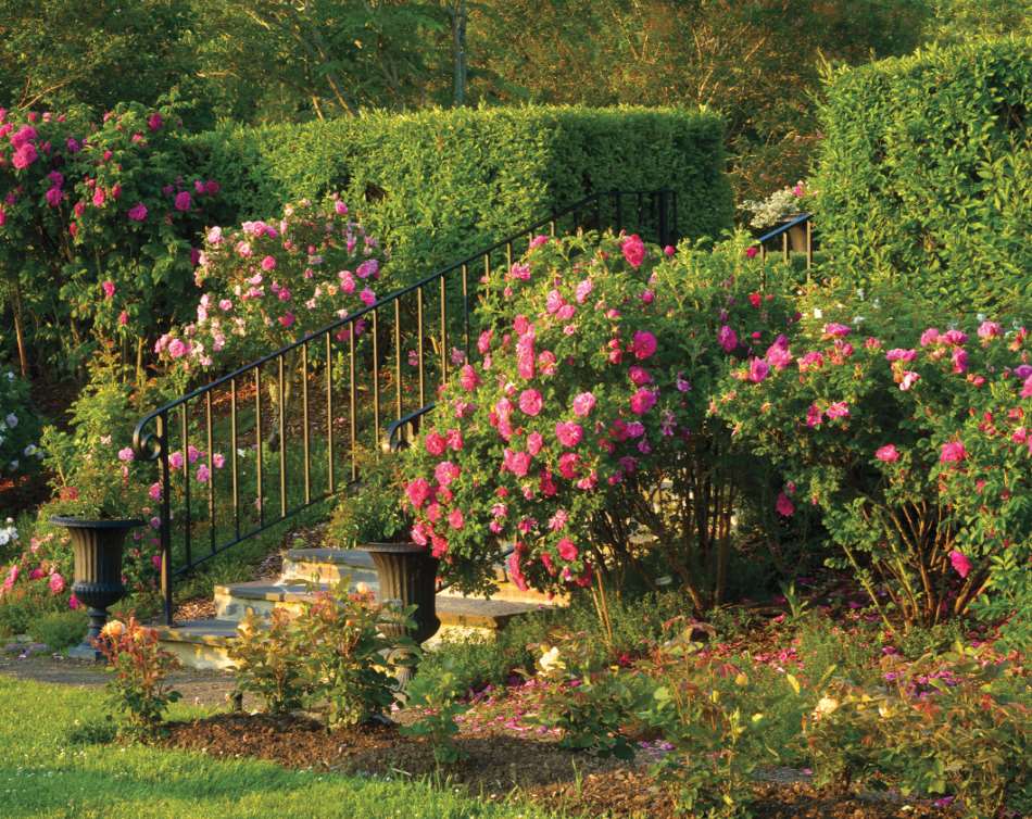 Kingsbrae Horticultural Garden