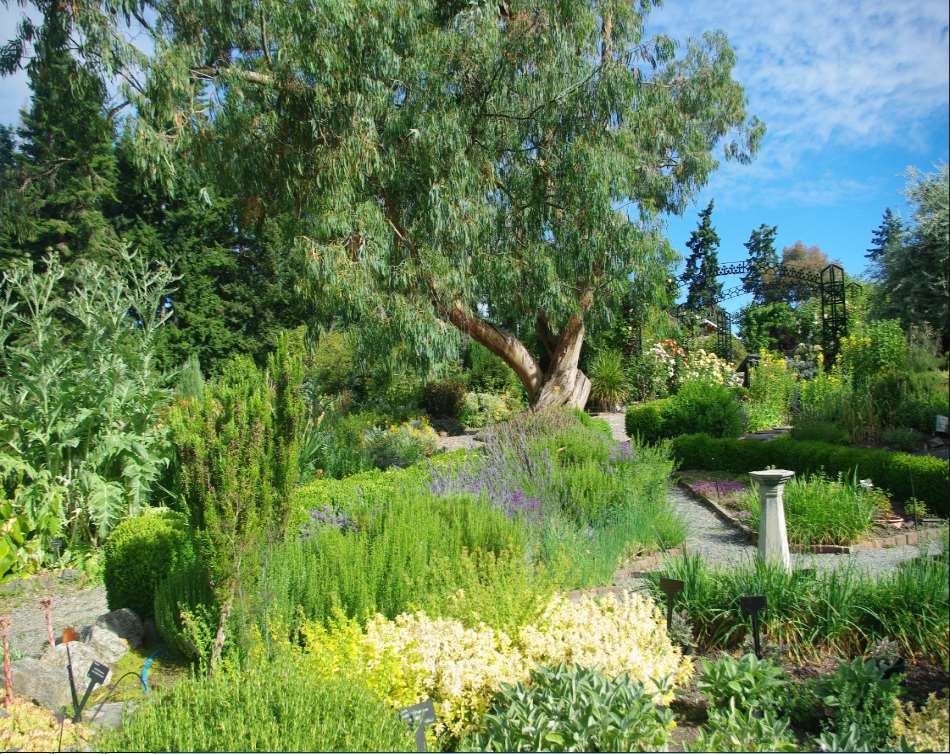 Horticulture Centre of the Pacific