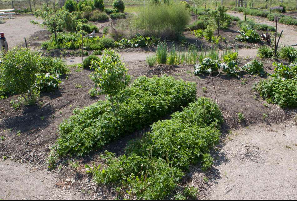 Bruce Botanical Food Gardens