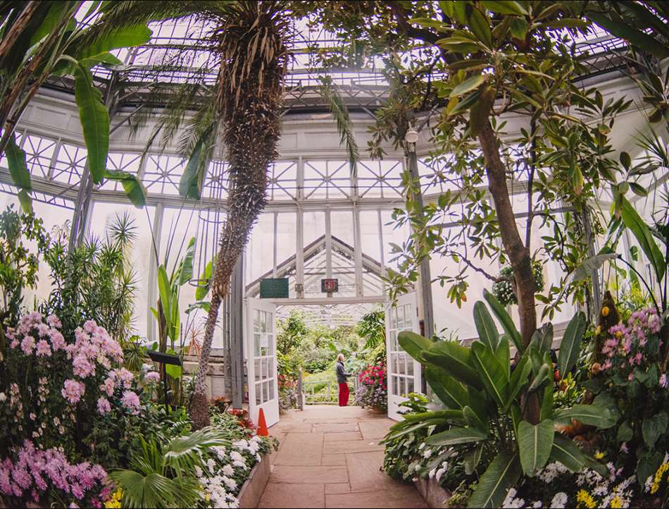 Allan Gardens