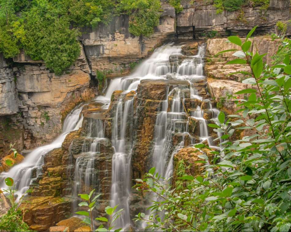 Inglis Falls Arboretum