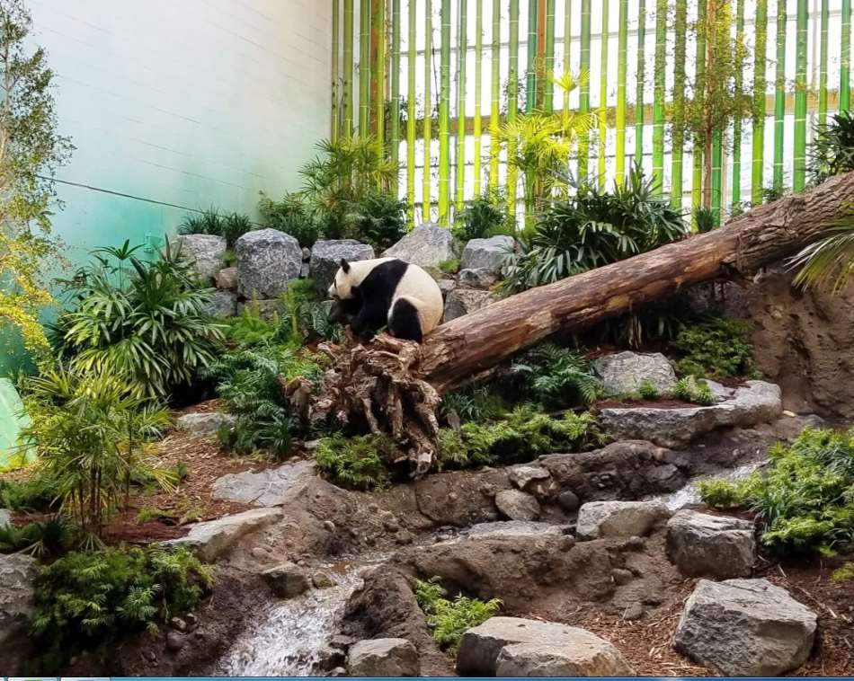 Calgary Zoological Gardens