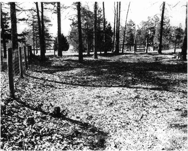 Cleburne County Farm Cemetery