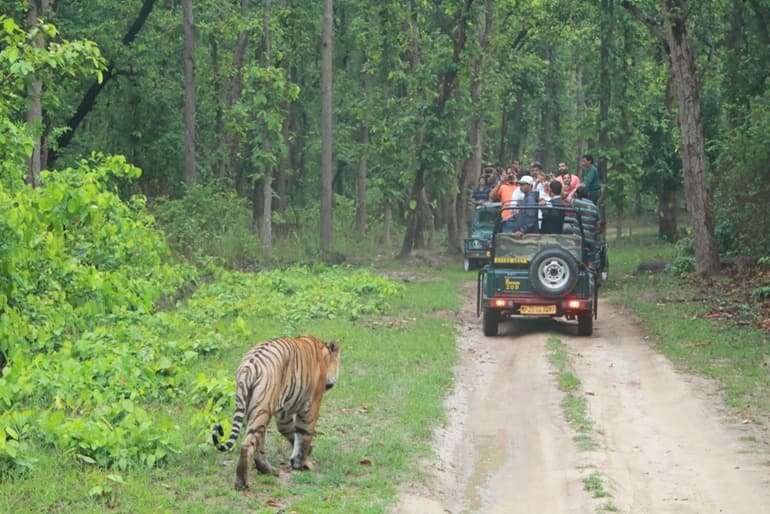 Kanha National Park