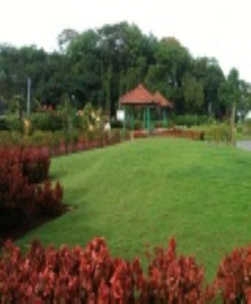 Joseph Baptista Garden