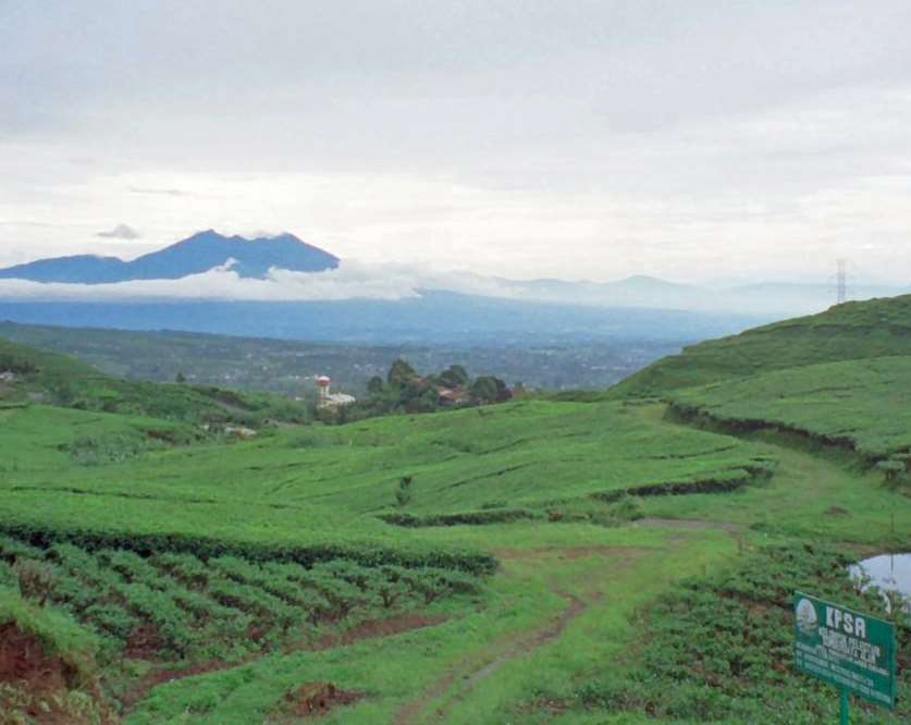 Puncak Pass