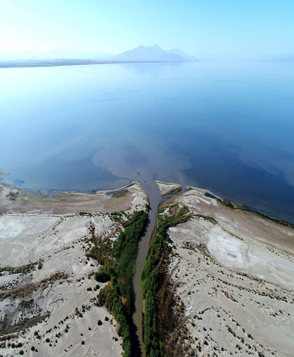 The Salton Sea