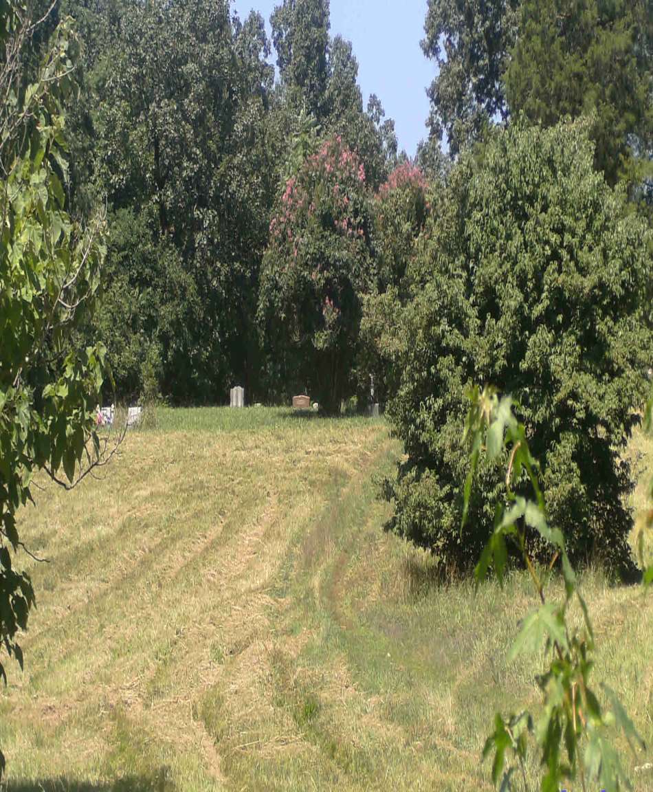 Walnut Grove Cemetery in Cord AR