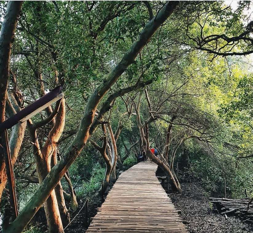 Taman Wisata Alam Angke Kapuk