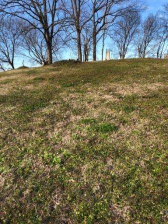 Mound Cemetery Arkansas City AR