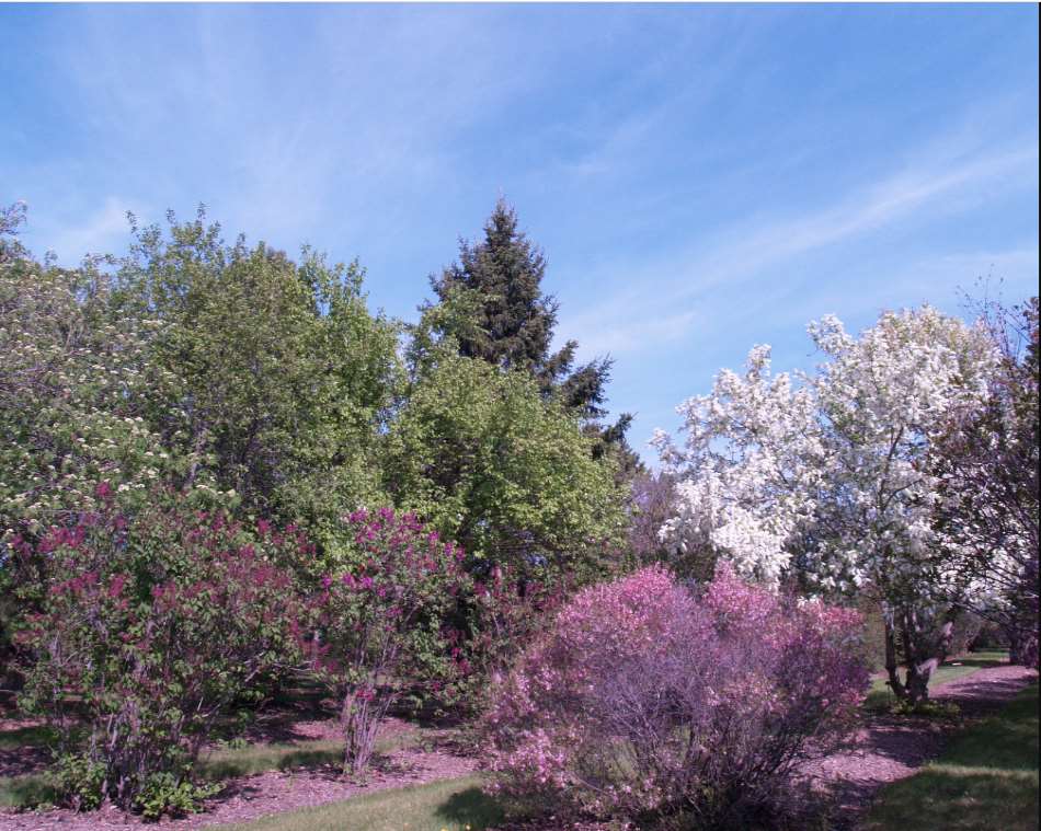 University of Saskatchewan Gardens