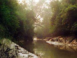 Sundarbans National Park