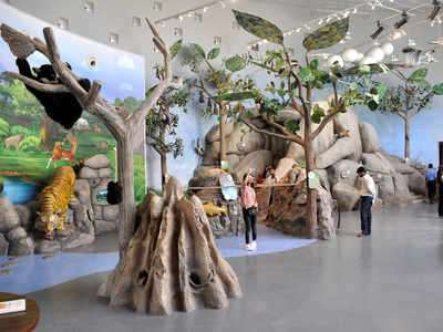 Bihar Museum