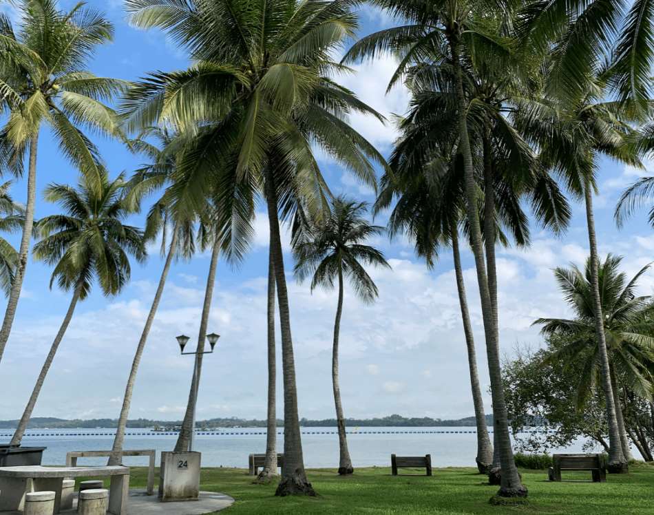 Pasir Ris Park