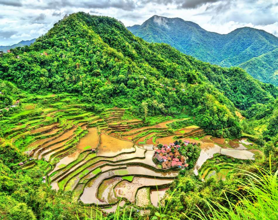 Rice Terraces of the Philippine Cordilleras