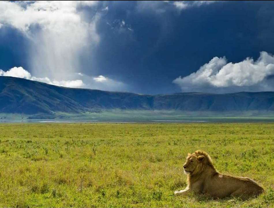 Ngorongoro Conservation Area