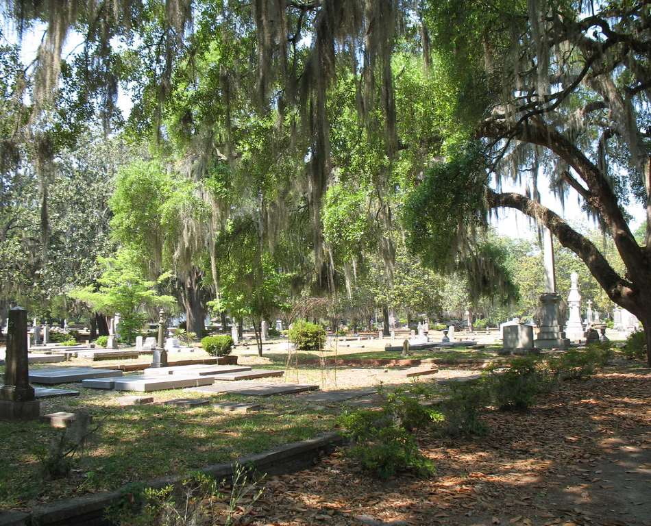 Live Oak Cemetery