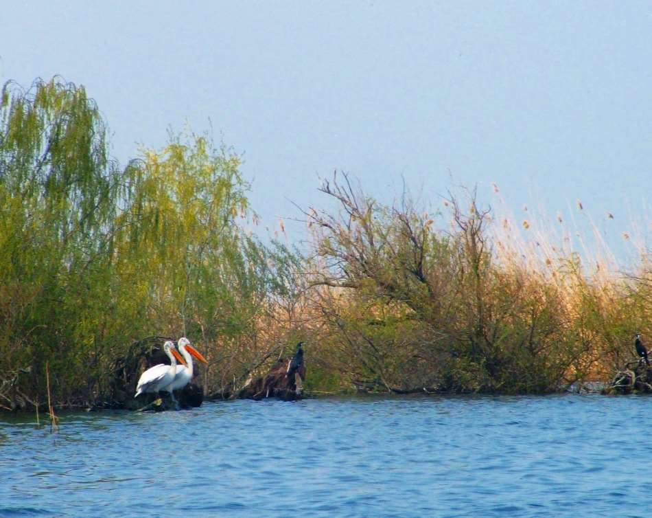 Srebarna Nature Reserve