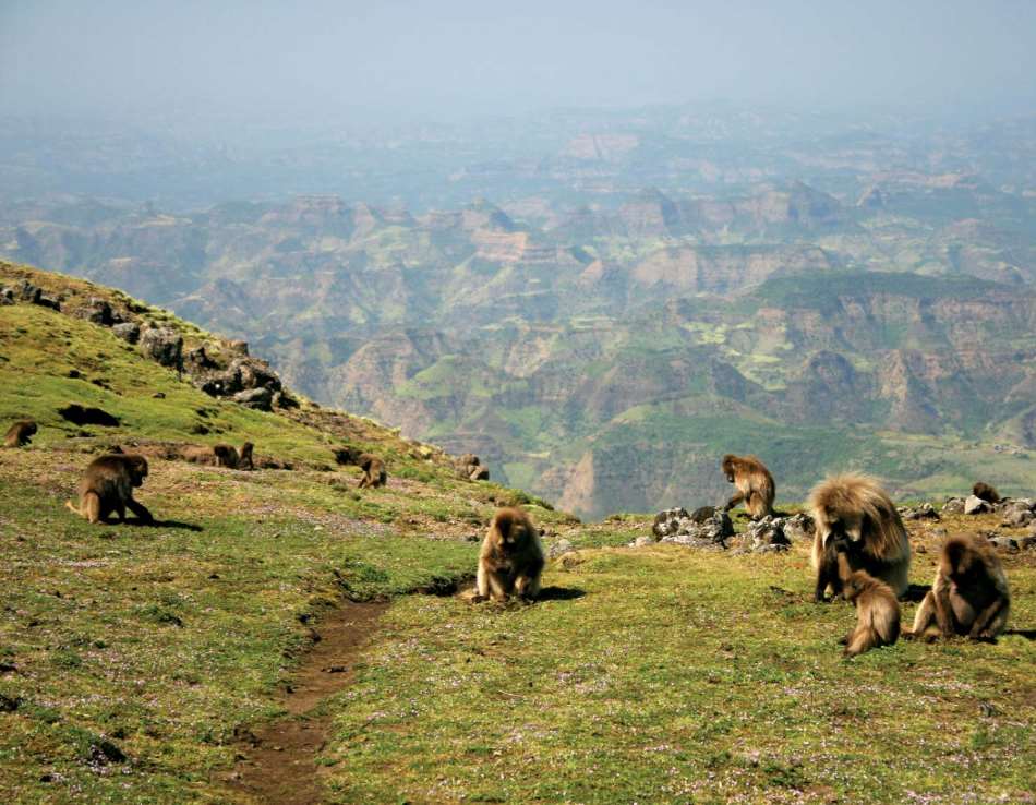 Simien National Park