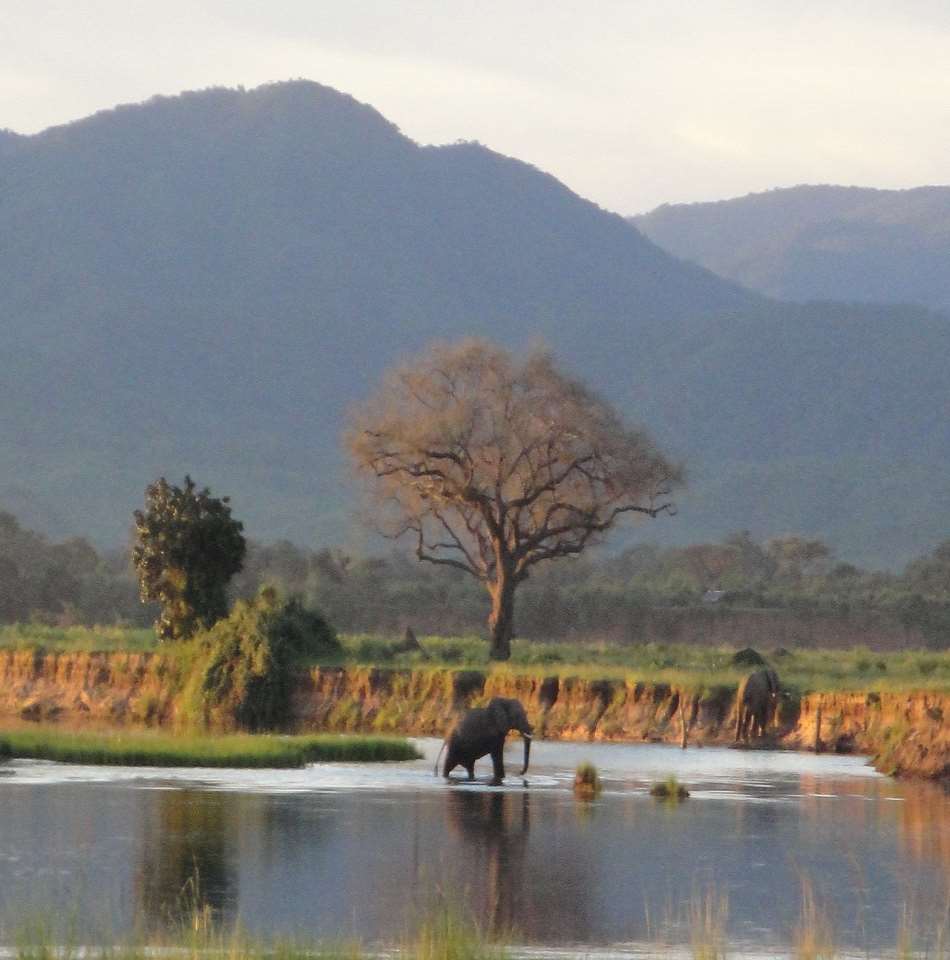 Mana Pools National Park