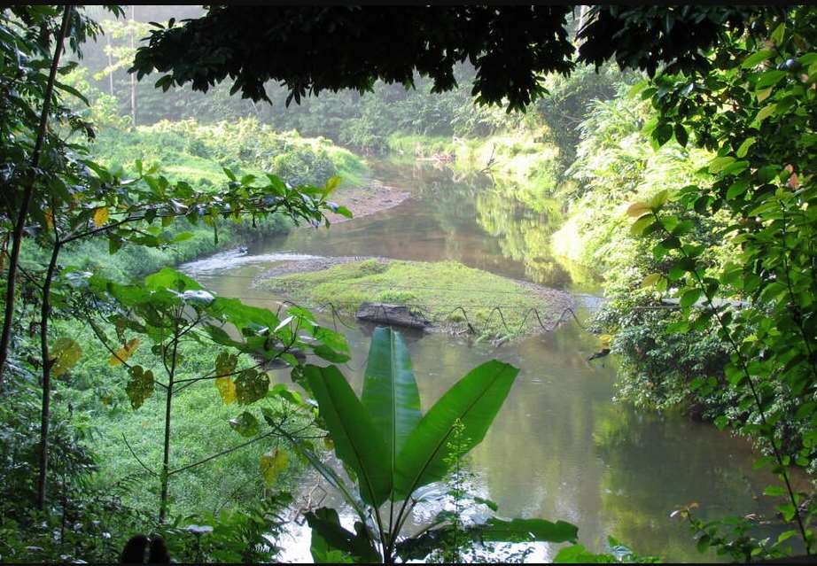 Tropical Rainforest Heritage of Sumatra