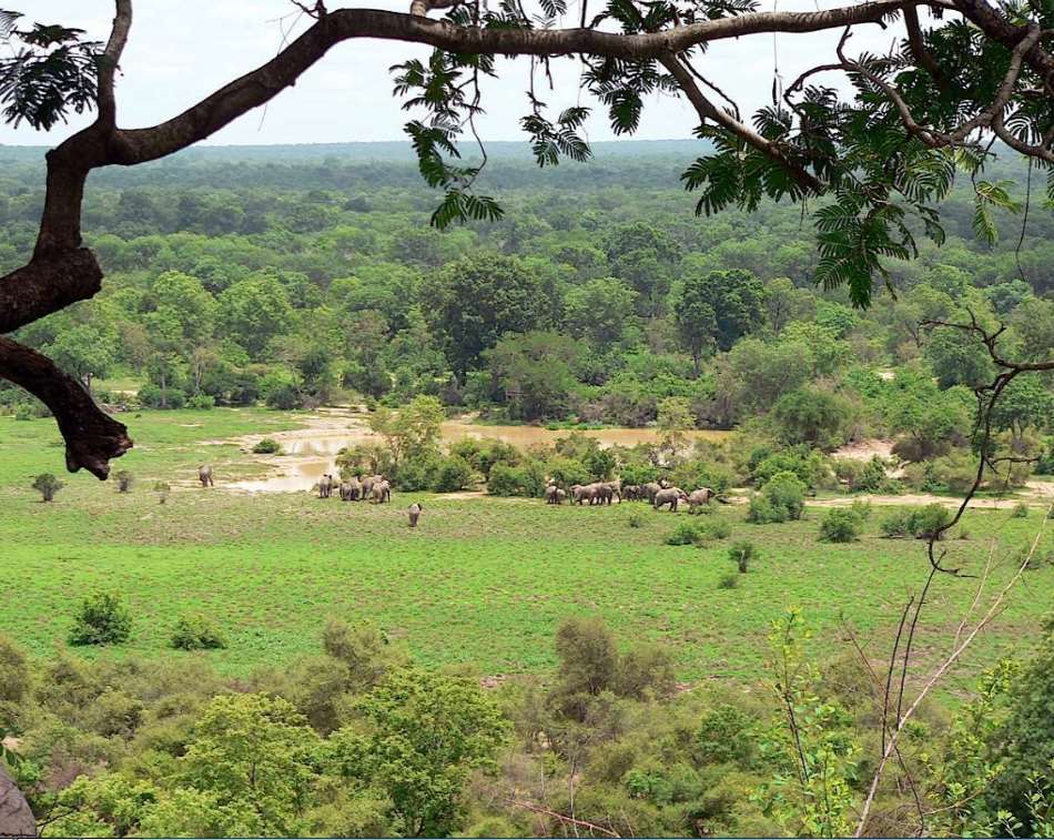 Comoe National Park