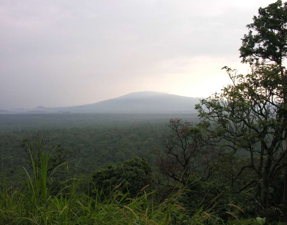Virunga National Park
