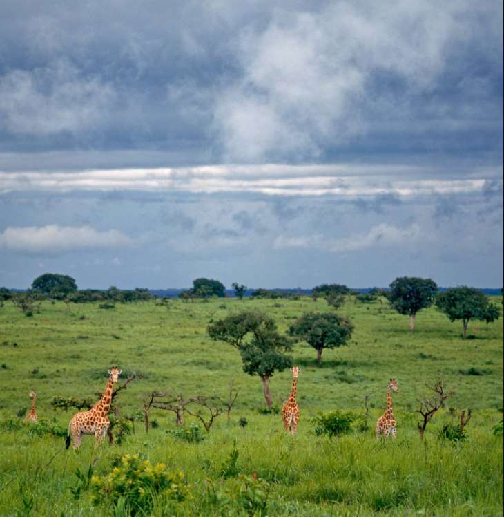 Garamba National Park