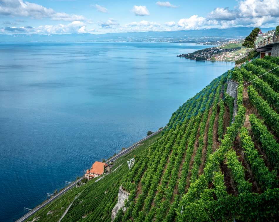 Lavaux