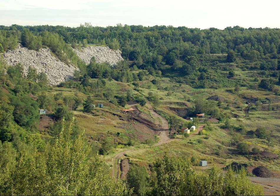 Messel Pit Fossil Site