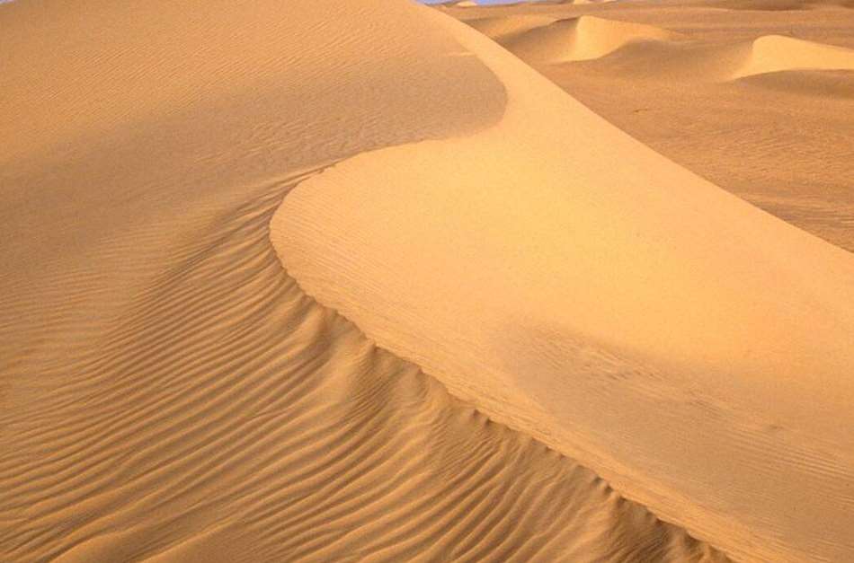 Air and Tenere Natural Reserves