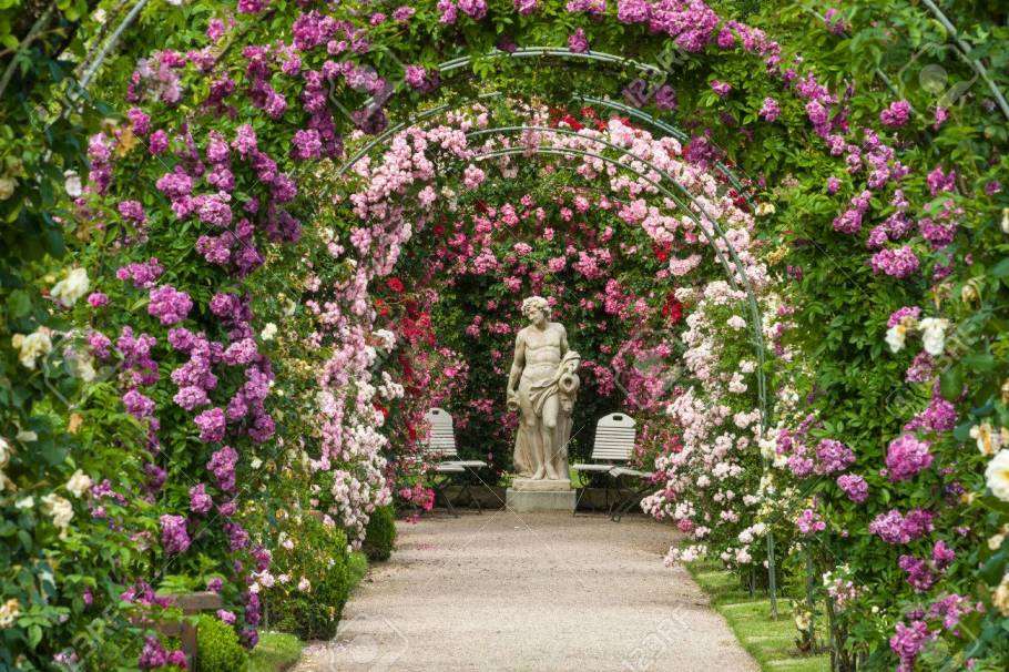 Zakir Hussain Rose Garden