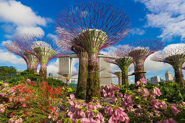 Gardens by the Bay, Singapore