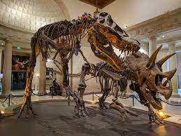 Natural History Museum of Los Angeles